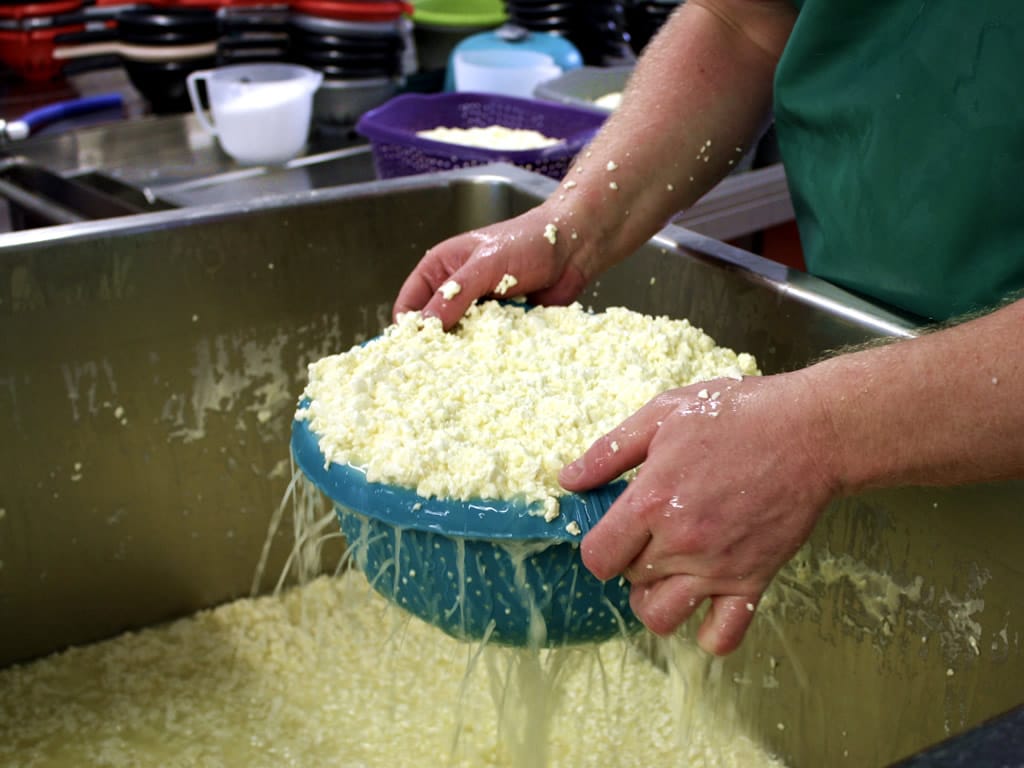 Cheesemaking at Sharpham Dairy Sharpham Cheese