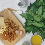 Sharpham Rushmore Tomato Leaf Pesto