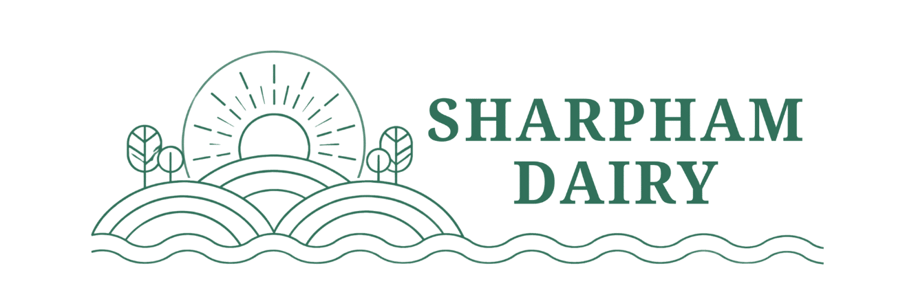 logo main